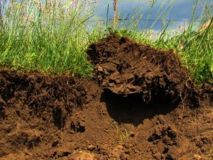 The Soil Makes the Being