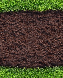 The Soil Makes the Being