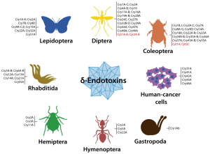 toxins-06-03296-g003-1024